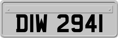 DIW2941
