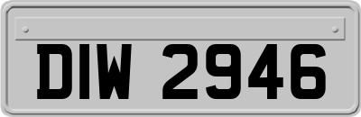 DIW2946