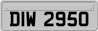 DIW2950