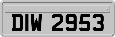 DIW2953