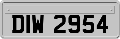 DIW2954
