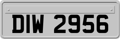 DIW2956