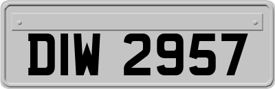 DIW2957