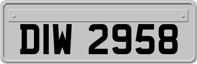 DIW2958