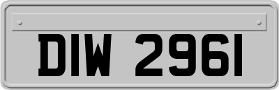 DIW2961