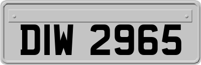DIW2965