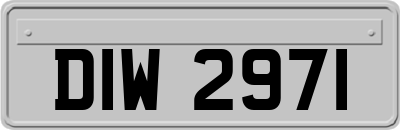 DIW2971
