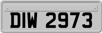 DIW2973
