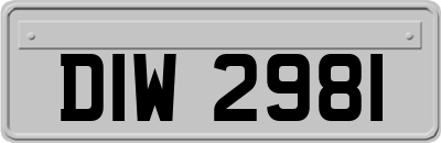 DIW2981