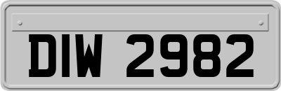 DIW2982