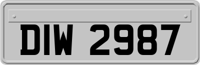 DIW2987
