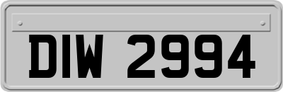DIW2994