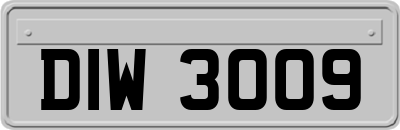 DIW3009