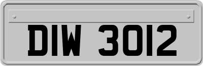 DIW3012