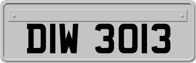 DIW3013