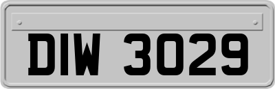 DIW3029