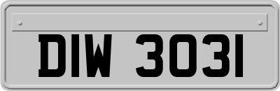 DIW3031