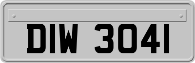 DIW3041