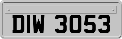 DIW3053