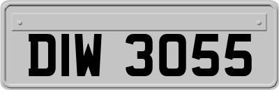 DIW3055