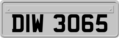 DIW3065