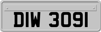 DIW3091