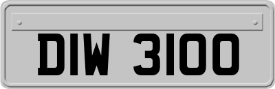 DIW3100