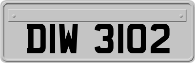 DIW3102
