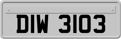 DIW3103