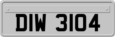 DIW3104