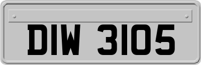DIW3105