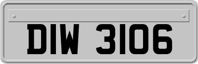 DIW3106