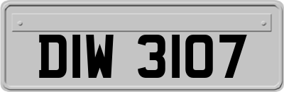DIW3107