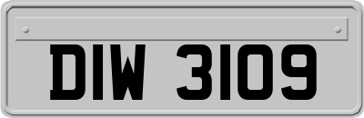 DIW3109