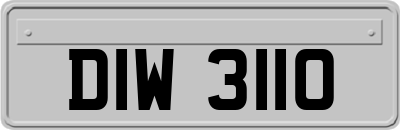 DIW3110