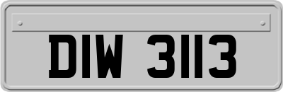 DIW3113