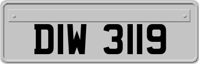 DIW3119