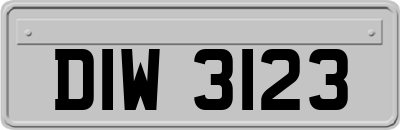 DIW3123
