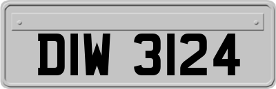 DIW3124
