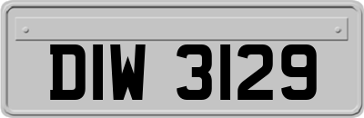 DIW3129