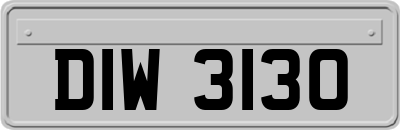 DIW3130