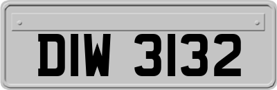 DIW3132