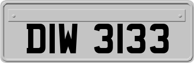 DIW3133