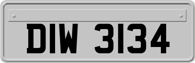 DIW3134