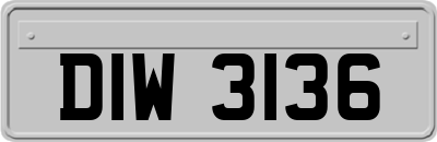 DIW3136
