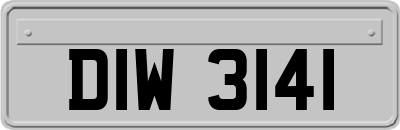 DIW3141