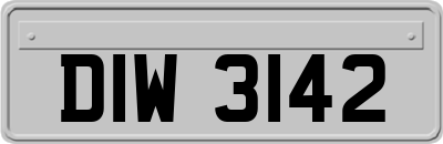 DIW3142