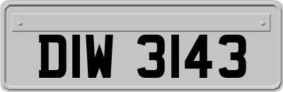 DIW3143