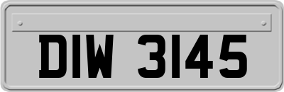 DIW3145