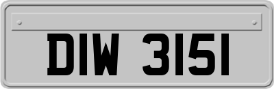 DIW3151